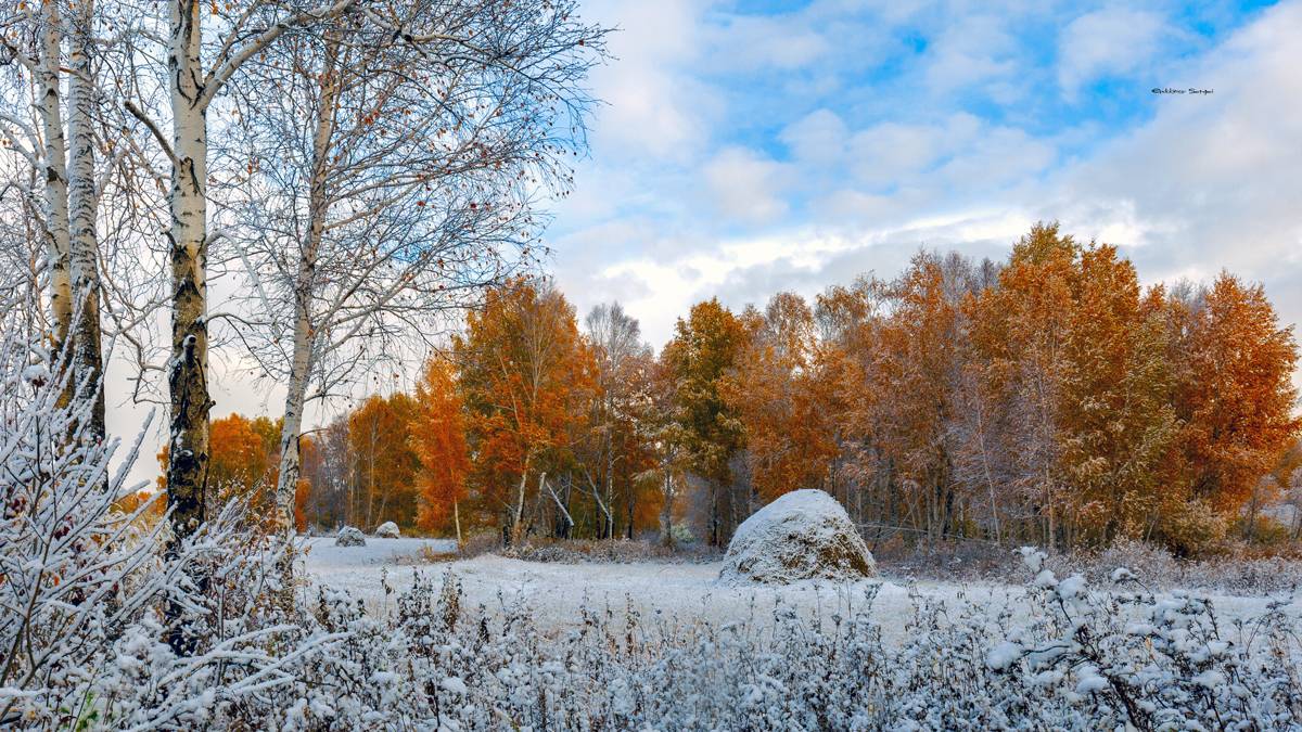 , Евдокимов Сергей