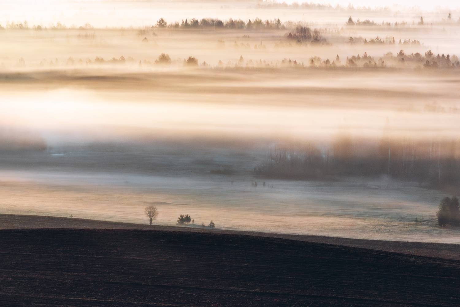 , Малыгин Андрей