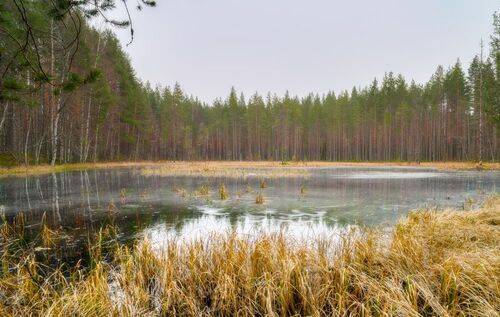 Ещё про оттепель в декабре