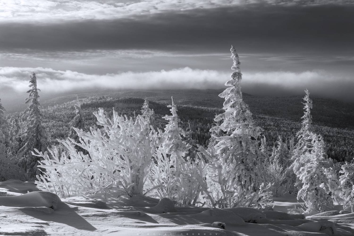 , Обухов Николай