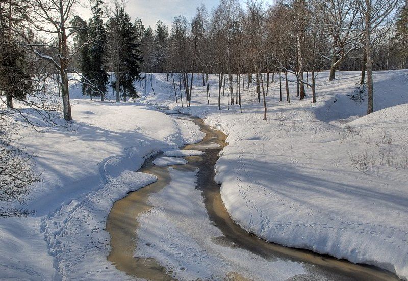 Снежные берегаphoto preview