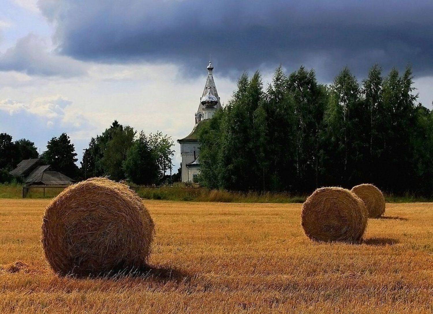 Сёла на волжском берегу (1). Автор: Василий Черкасский село, осень,волга, Василий Черкасский