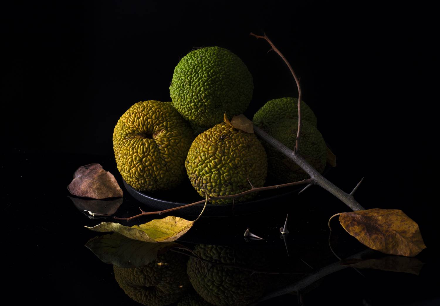 , Виктор Лебедь