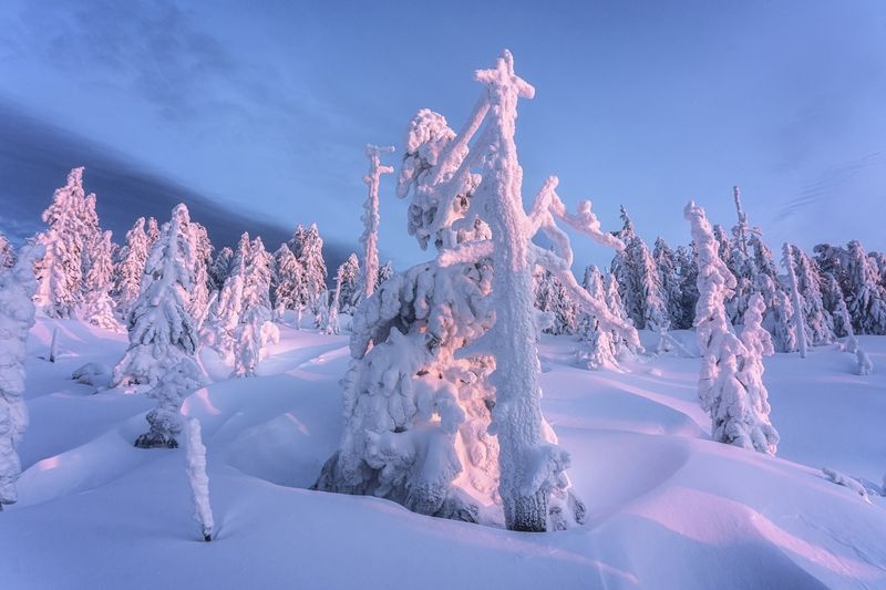 Аргыджекphoto preview