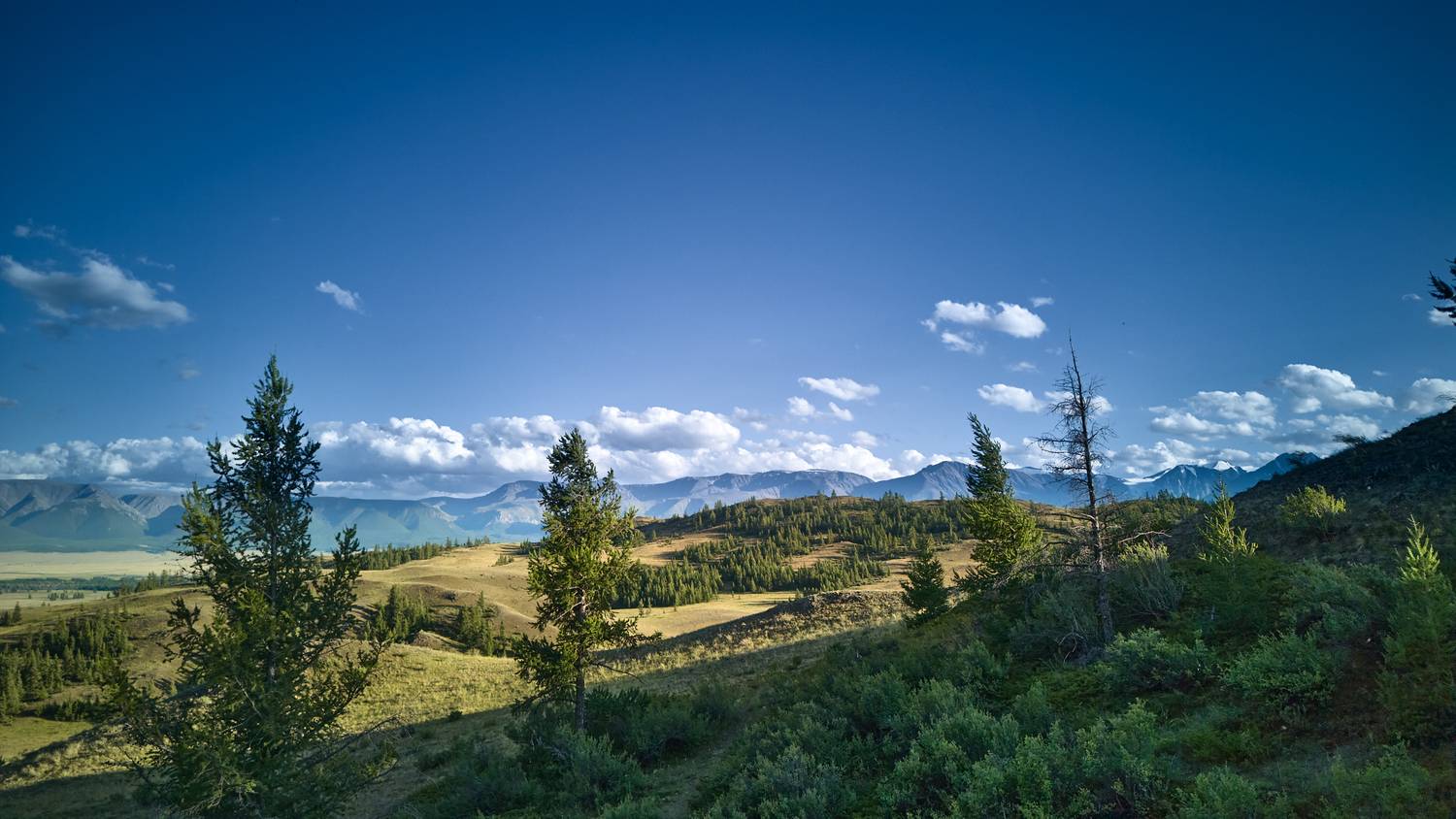 , Ярошенко Александр