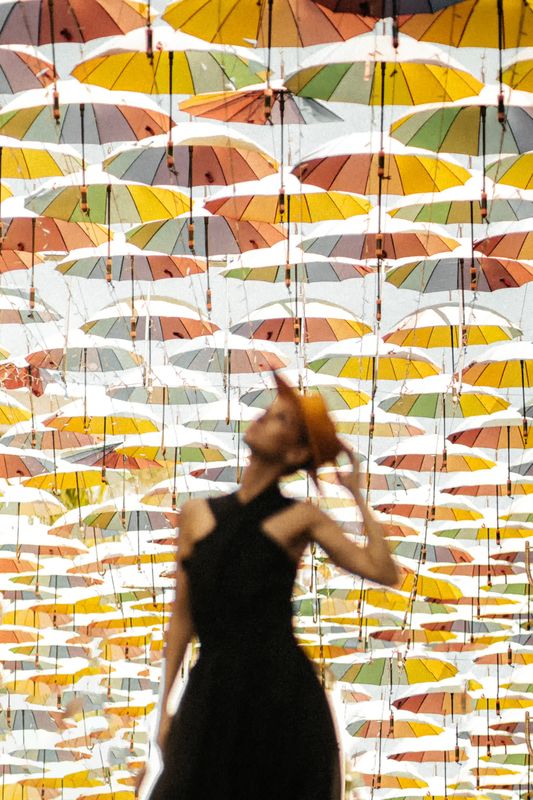 Зонтикиphoto preview