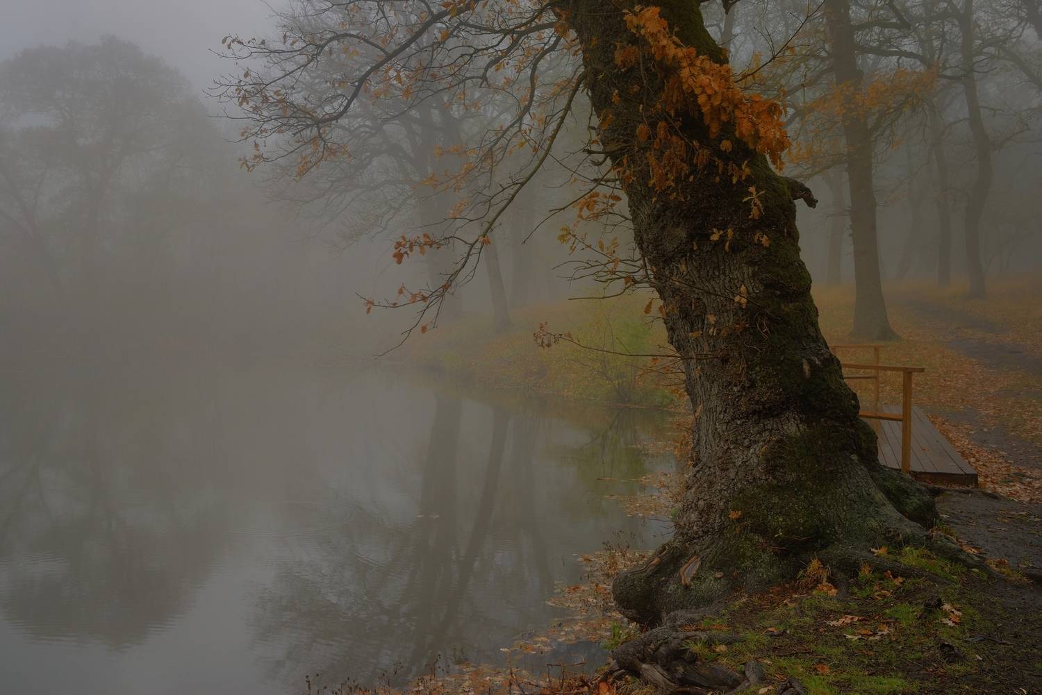 туман озеро осень, Александр Жарников