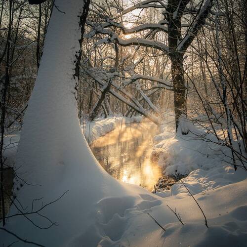Первое солнце в новом году
