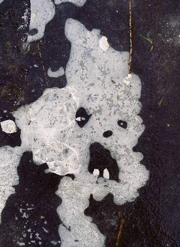 Парейдолия (замёрзшая лужа)