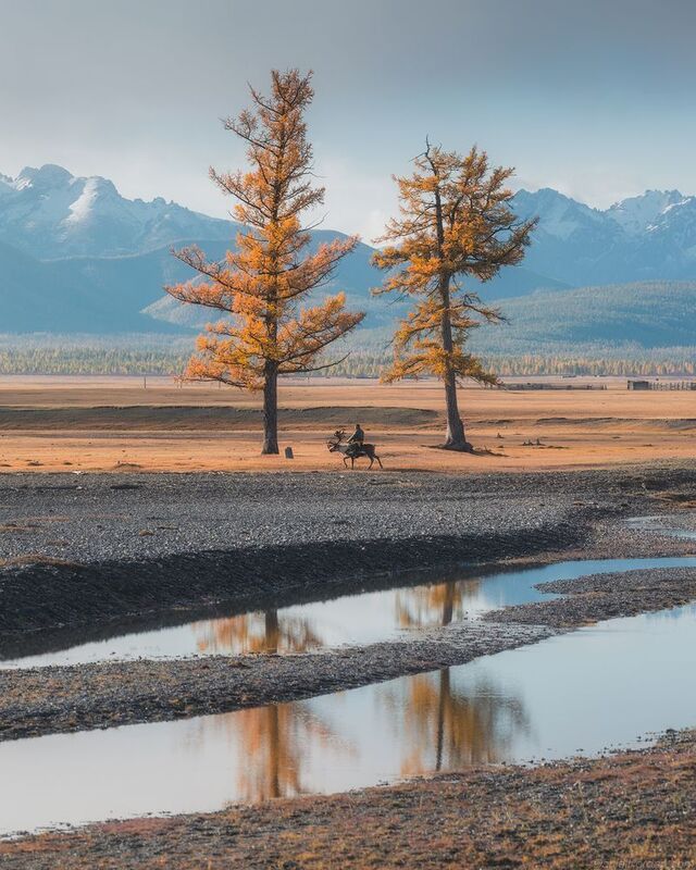 Mongolia Tsaatanphoto preview