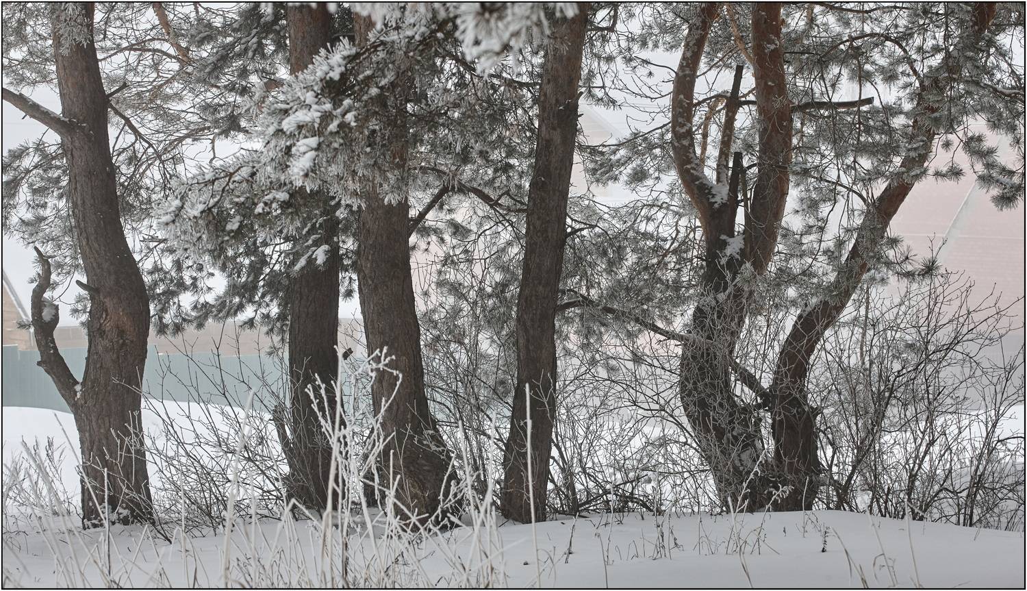 , Владимир Краснов