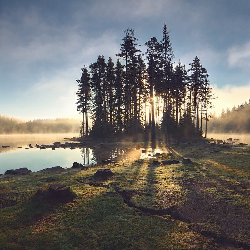 Утренний туманphoto preview