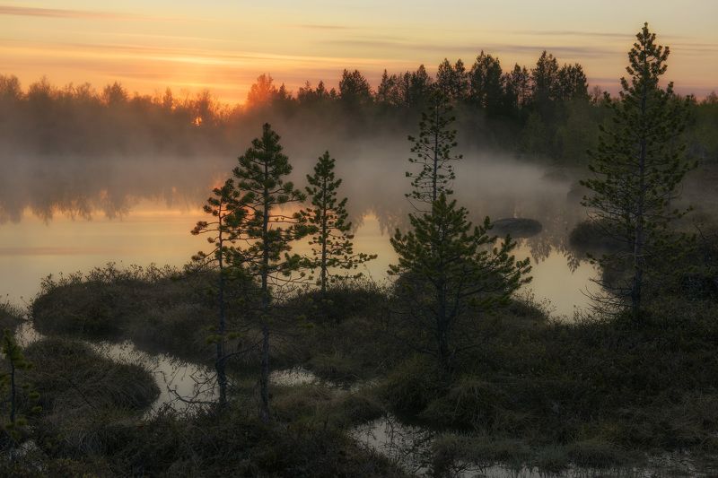 Майская ночь за полярным кругом...photo preview
