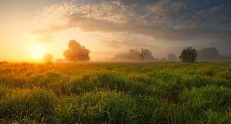 Июньский рассветphoto preview