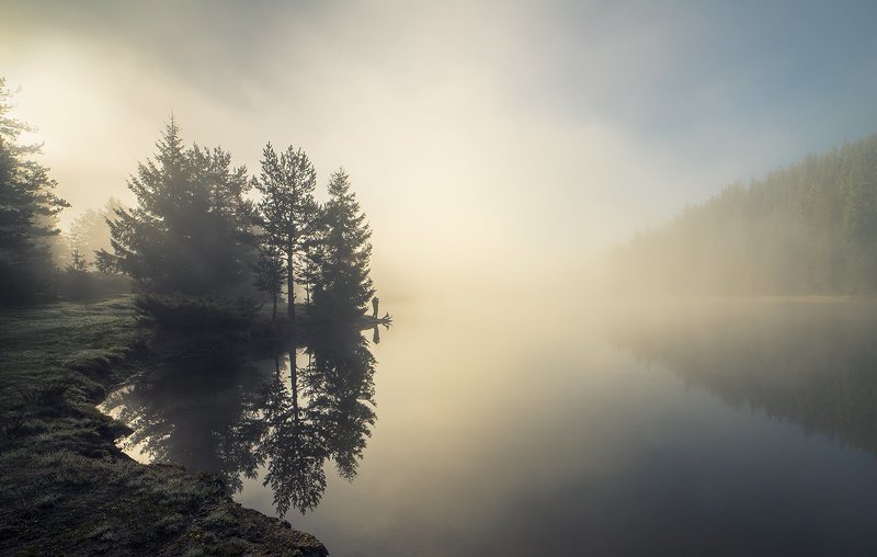 Фотограф и туманphoto preview