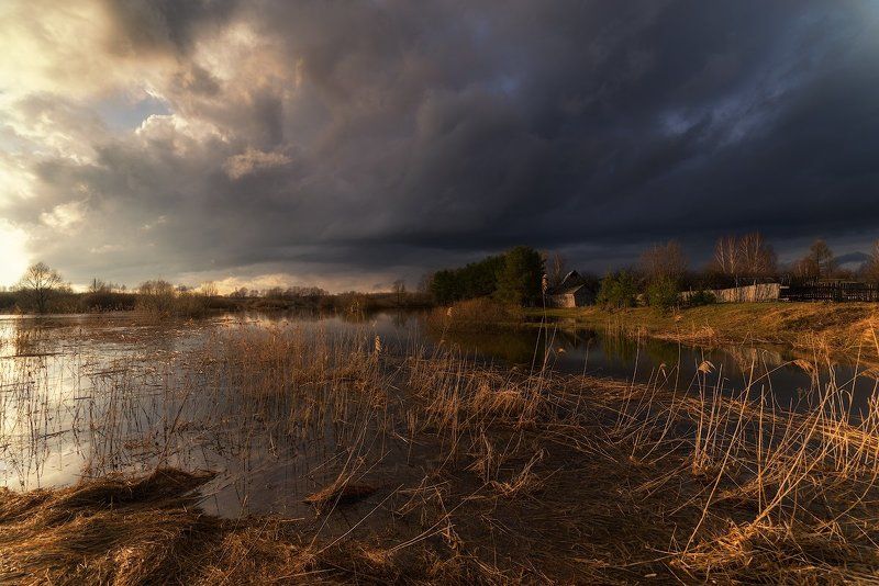 Предгрозовое...photo preview