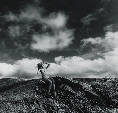 Freedom