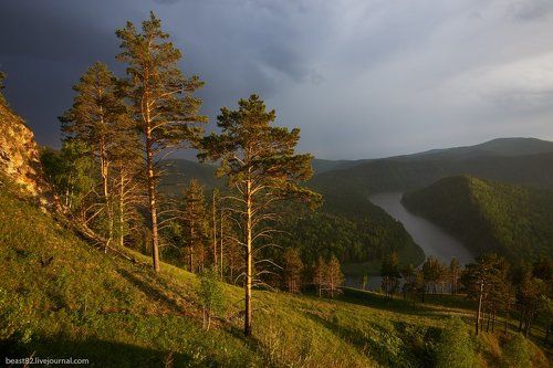 Манская петля