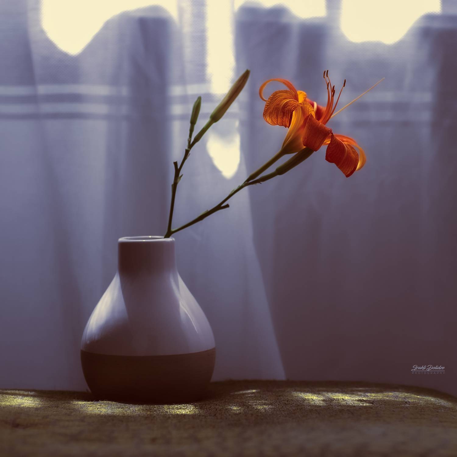 The only one. Автор: დოლიძე ირაკლი , დოლიძე ირაკლი