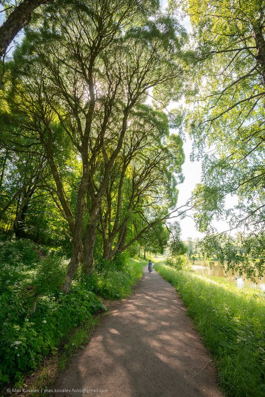 Leningrad region, Russia, bank, summer, Ленинградская область, Мариенталь парк, Мариентальский пруд, Павловск, Россия, Славянка река, берег пруда, лето Прозрачностьphoto preview