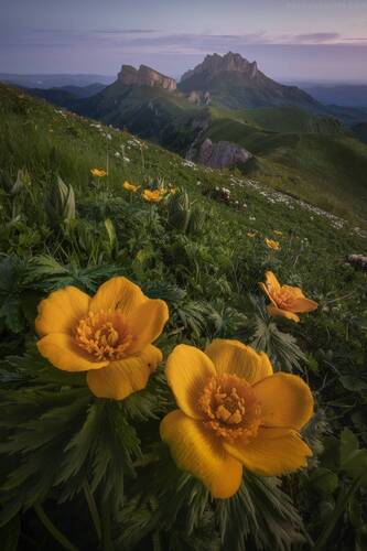 Большой Тхач