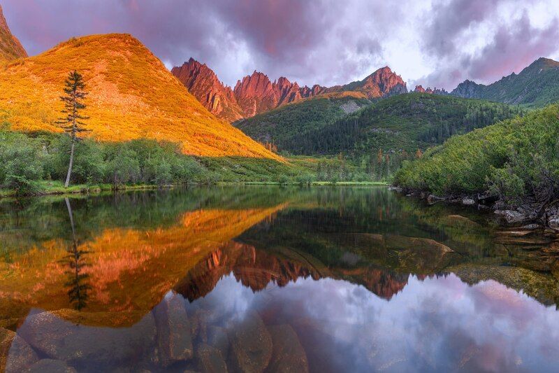 Отражение Дуссе-Алиньphoto preview