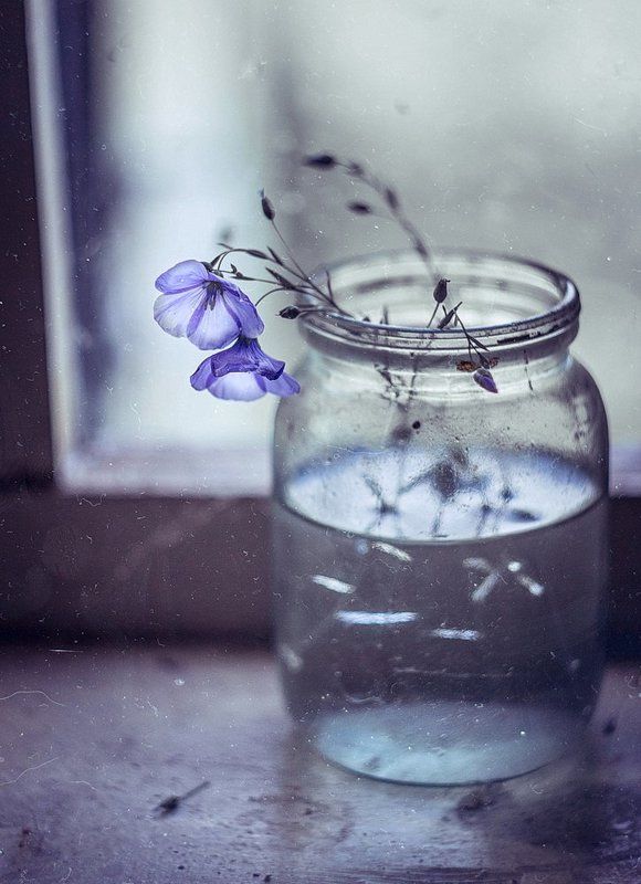 печальное утро льна*
