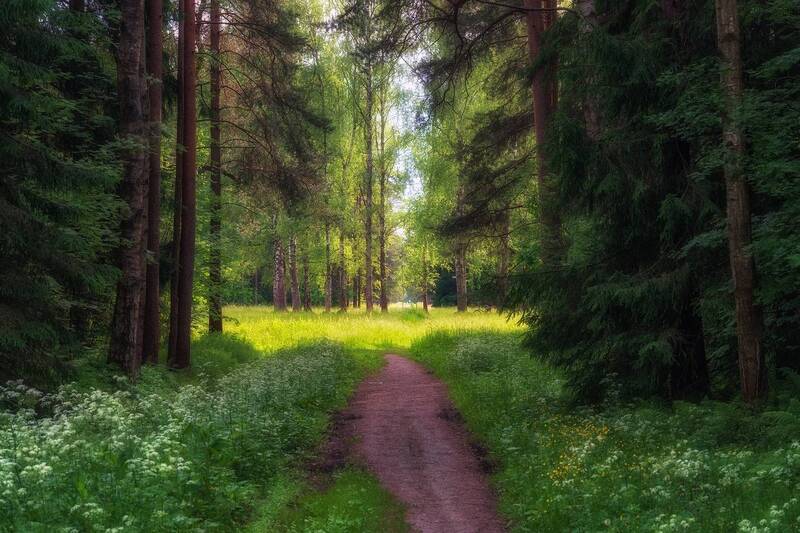 Павловский парк в летнем убранстве.photo preview