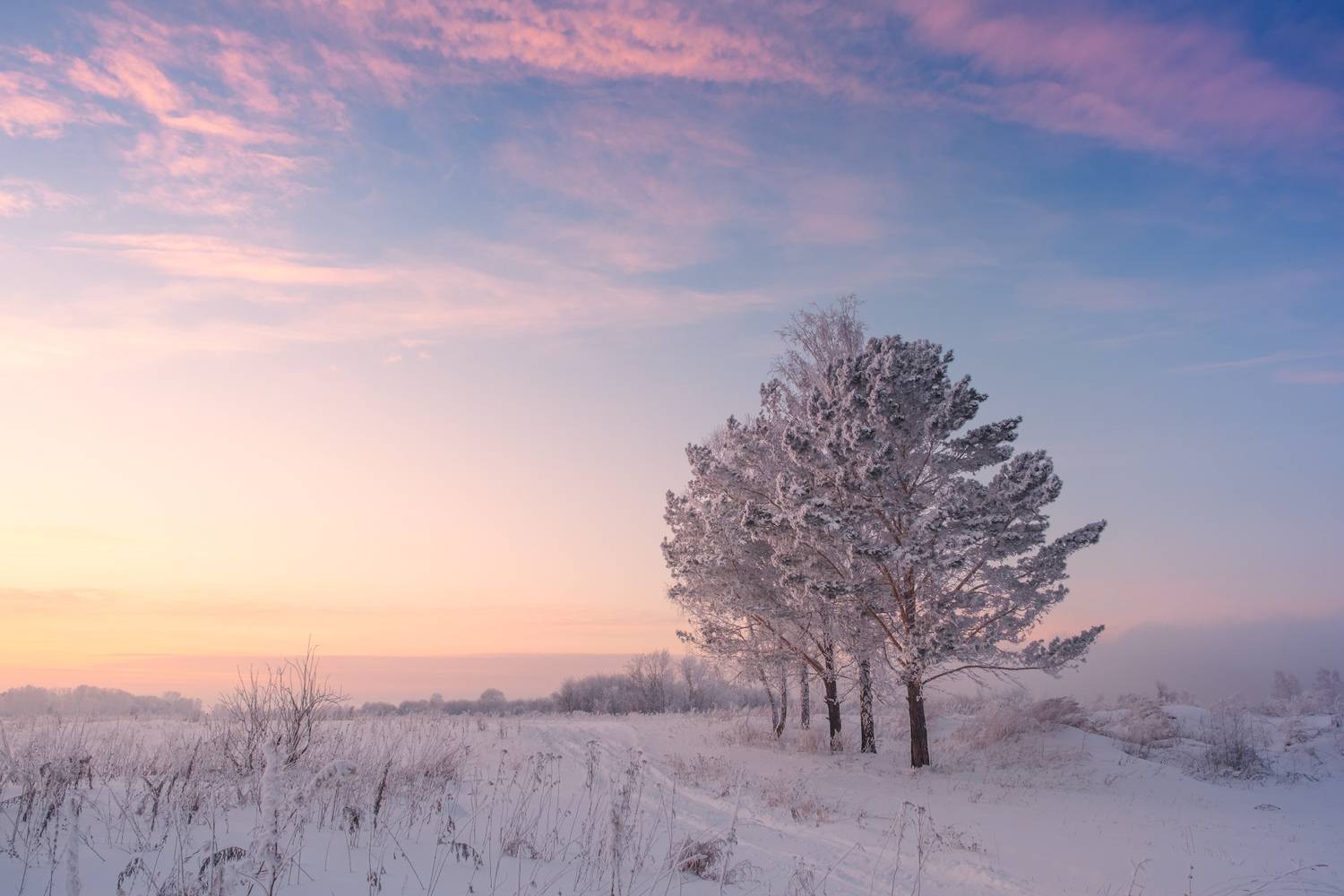 Зимние сумерки. / Winter twilight.. Автор: Леонтьев Константин зима, снег, иней, закат, вечер, Леонтьев Константин
