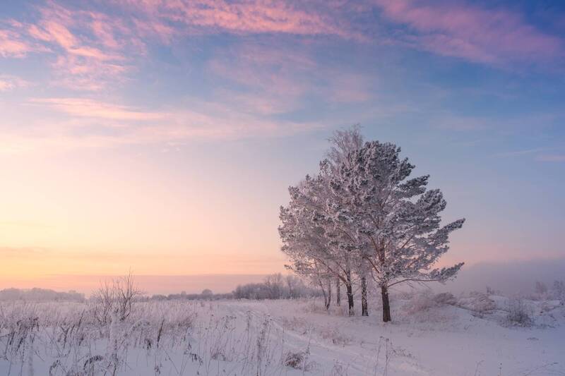 зима, снег, иней, закат, вечер Зимние сумерки. / Winter twilight.photo preview
