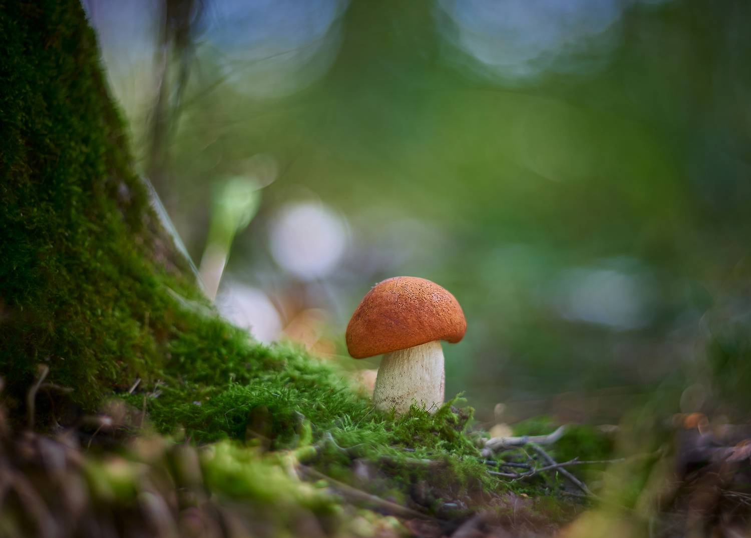 Автор: Vlad helios, 40, Vlad