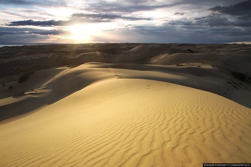 Монголия, путешествия, пустыня Пески Монгол-эллс. Монголияphoto preview