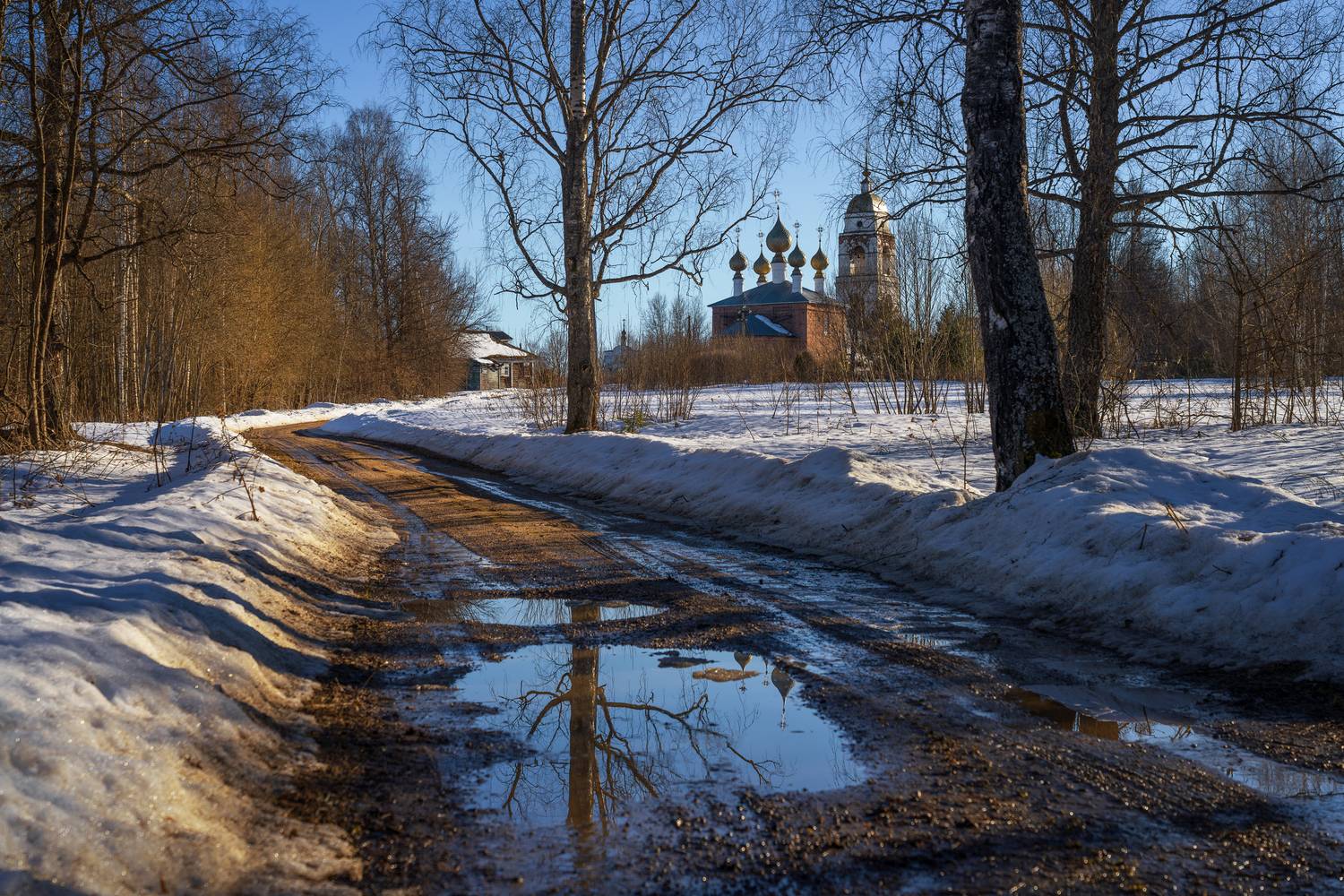 ярославская область, весна, март, Олег Зверев