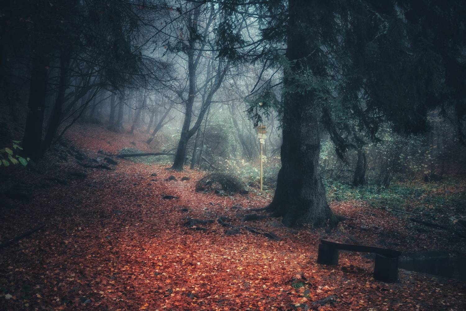 Автор: Юлияна Стоянова , Юлияна Стоянова