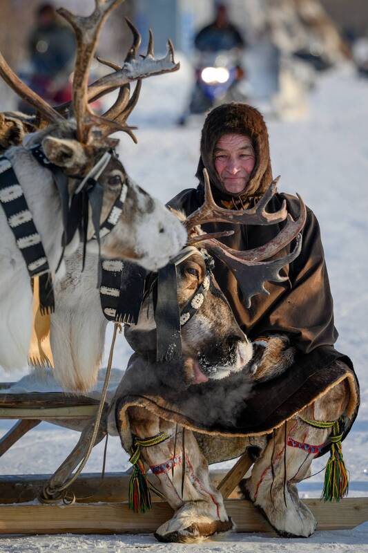 оленевод, ненец, северный олень, тундра, праздник, репортаж, ямал, янао, надым Мудростьphoto preview