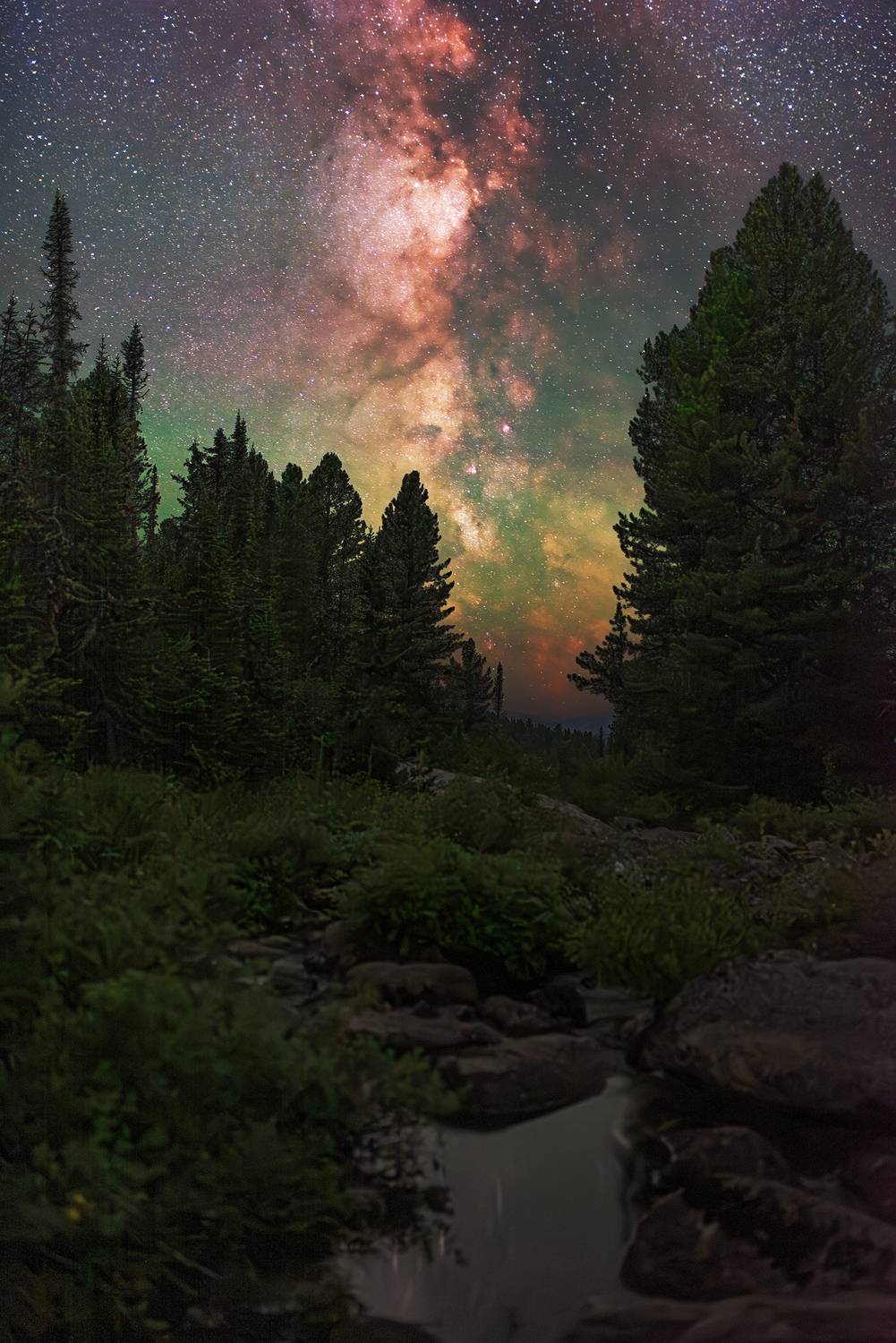 млечный путь, звездное небо, астрофото, астрофотография, ергаки, сибирь, milky way, starry night, astrophoto, Кудашкина Ксения