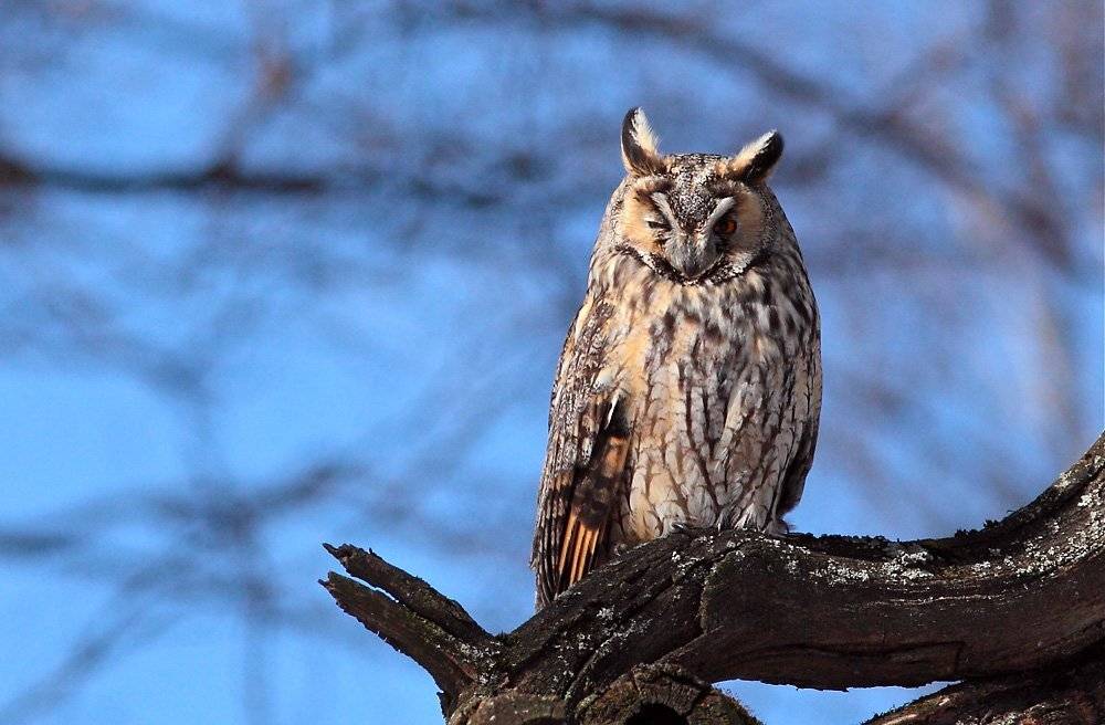 , Сергей Дорохин