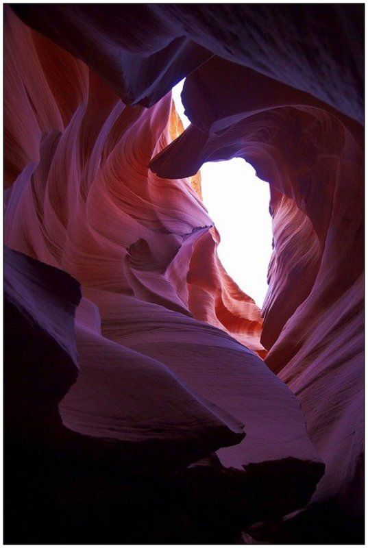 Волкphoto preview