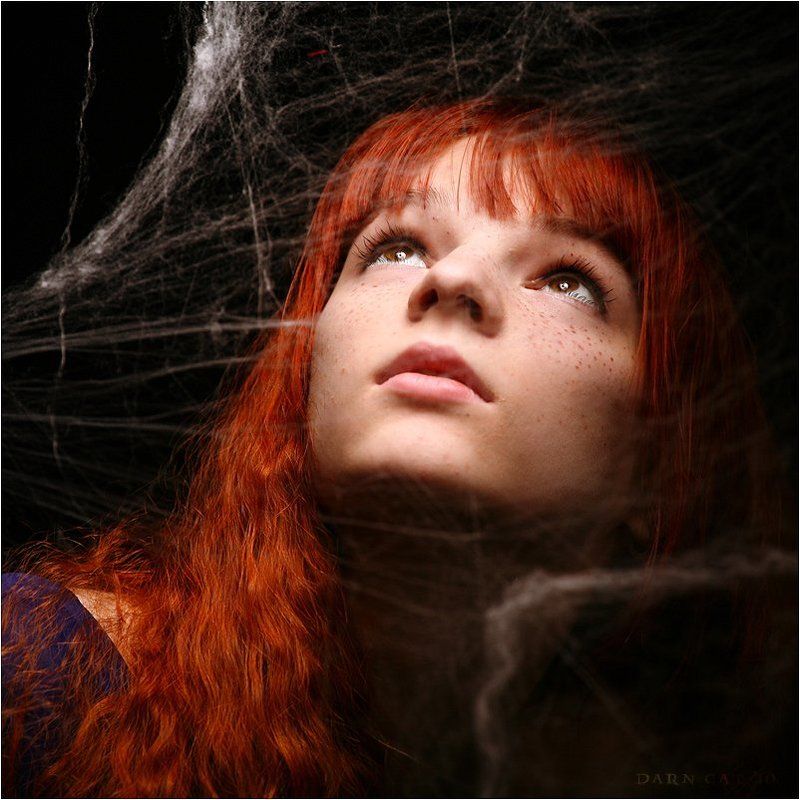 девушка, рыжая, пленница, паутина Пленницаphoto preview