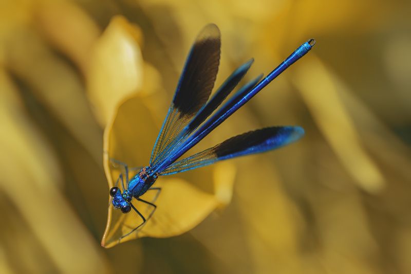 Мир глазами фотографаphoto preview