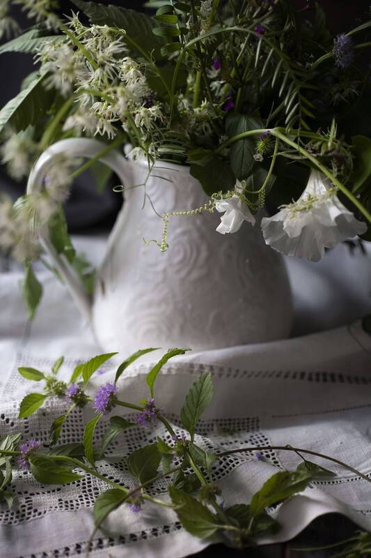 день победы, май, молодой человек в военной орме, красное знамя, лес, березы, молодая листва, реконструкция photo preview