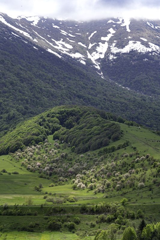 Армения, Лорийская область Весна в Арменииphoto preview