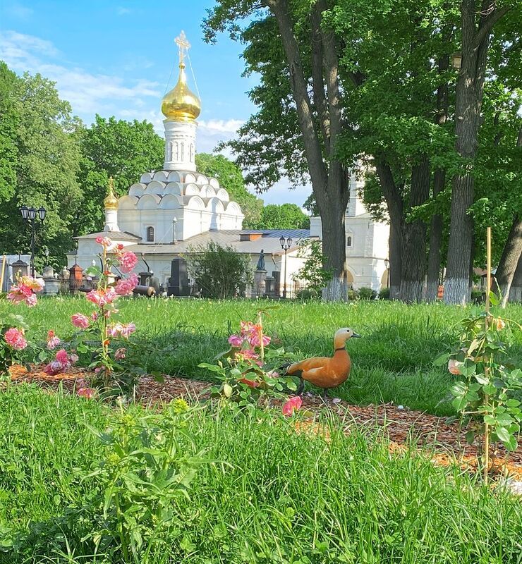 Донской монастырь photo preview
