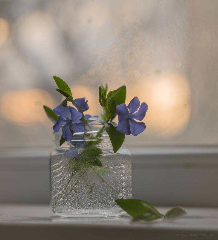 Свет весныphoto preview