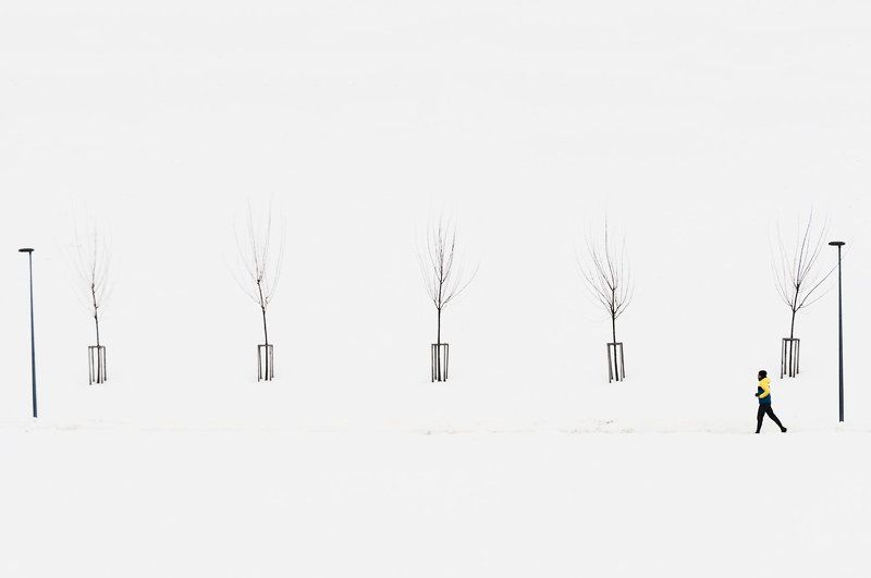 Деревья, Зима, Человек ||*|photo preview