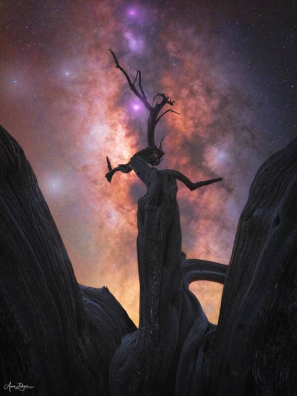 nature, landscape, travel, photography, astrophotography, milkywyay, night, oman Alonephoto preview