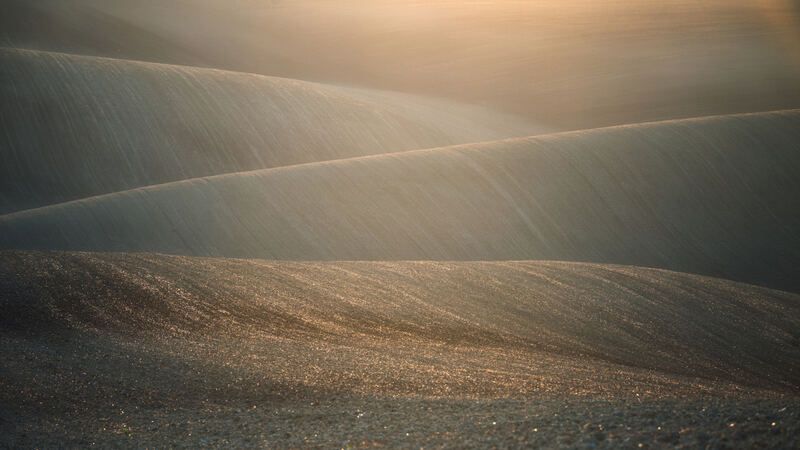 field, sprin, sunset Linephoto preview