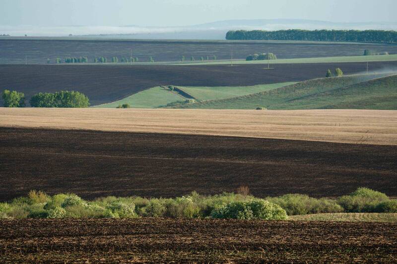 Весенний туман над пашнями Алтайского края… Spring fog over the arable land of the Altai Territory...photo preview