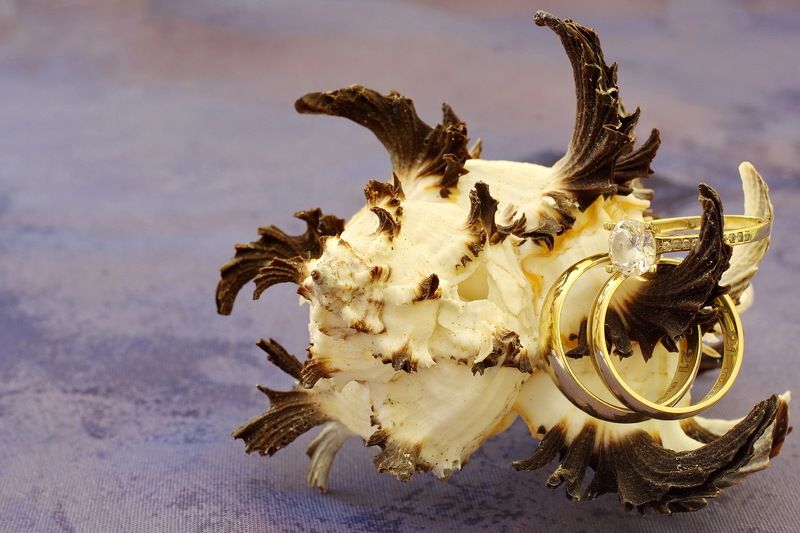 Wedding ringsphoto preview