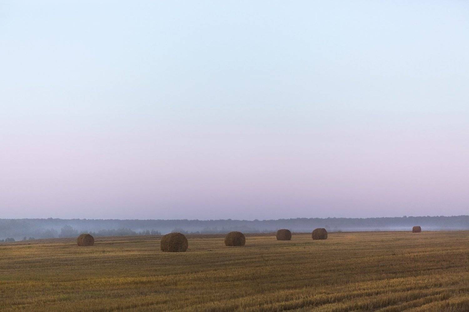 , Анатолий Чигин